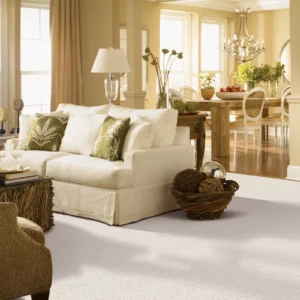 Carpet Flooring | Calvetta Brothers Mentor