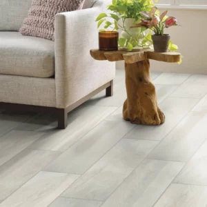 Tile Flooring in living room | Calvetta Brothers Mentor