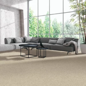 Carpet Flooring | Calvetta Brothers Mentor