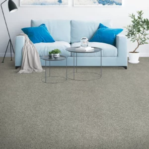 Carpet in living room | Calvetta Brothers Mentor