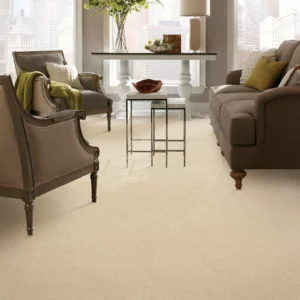 Carpet in living room | Calvetta Brothers Mentor