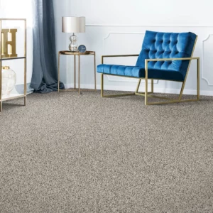 Carpet in sitting area | Calvetta Brothers Mentor