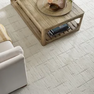Overhead view of patterned carpet in living room | Calvetta Brothers Mentor