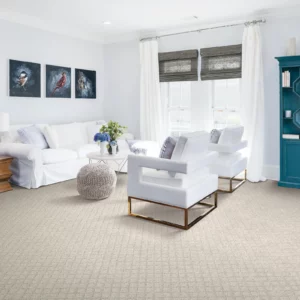 Carpet in living room | Calvetta Brothers Mentor