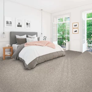 Carpet in bedroom | Calvetta Brothers Mentor