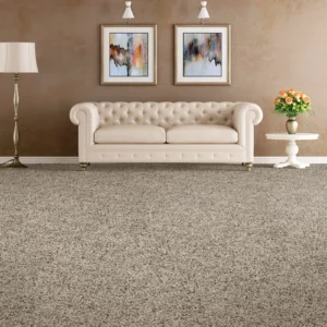 Carpet in living room | Calvetta Brothers Mentor
