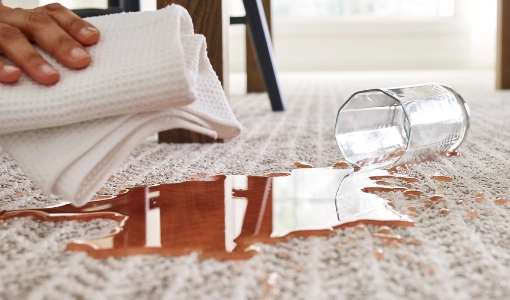 Carpet-SpillStains Carpet care | Calvetta Brothers Mentor