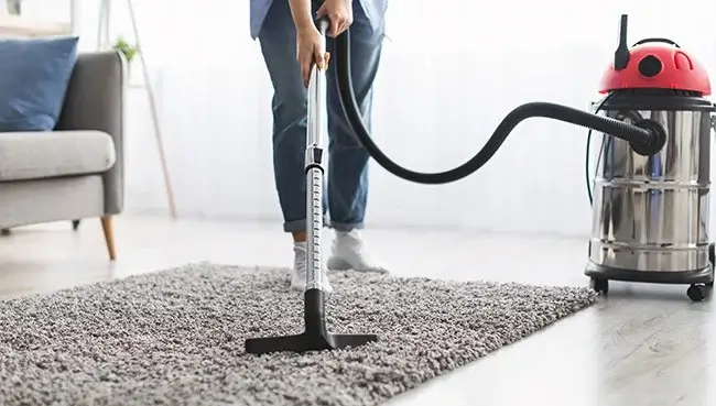 RugCareThumb Area rug care | Calvetta Brothers Mentor