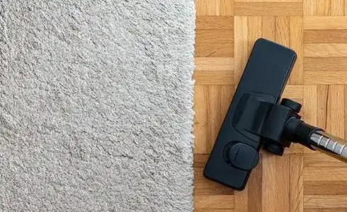 area-rug-care Area rug care | Calvetta Brothers Mentor