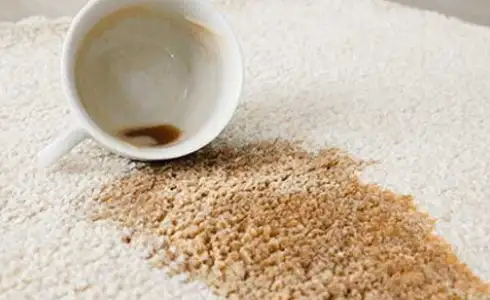 area-rug-stain Area rug care | Calvetta Brothers Mentor