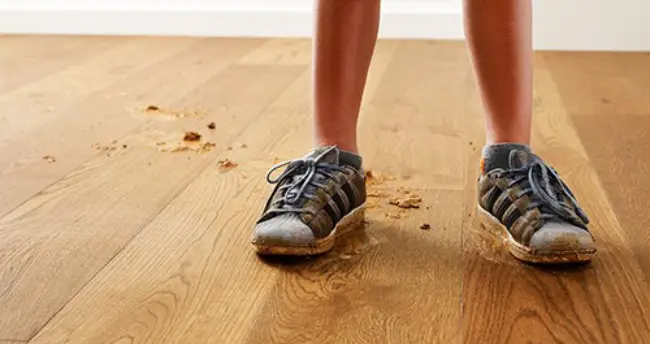 dirt-derbis-hardwood Hardwood care | Calvetta Brothers Mentor
