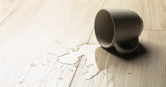 hardwood-spill-landscp Hardwood spill | Calvetta Brothers Mentor