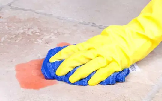 tile-care Tile care | Calvetta Brothers Mentor