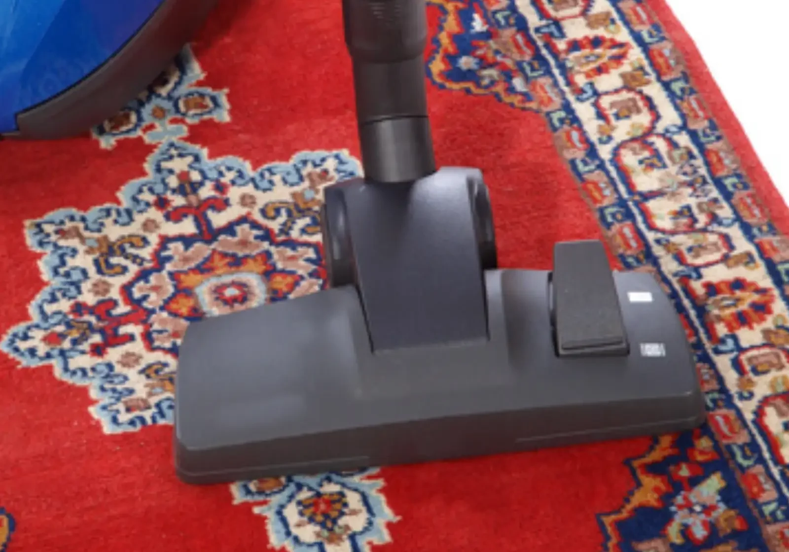 area-rug-care Area rug care | Calvetta Brothers Mentor